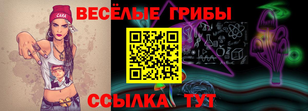 Псилоцибиновые грибы Magic Shrooms  Вход с VPN  Кохма  Галлюциногенные грибы мицелий 