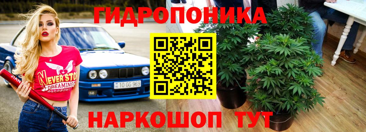МАРИХУАНА ГИДРОПОН  Вход с VPN  Кохма  Канабис гибрид 